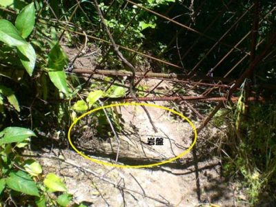 イノシシの防御柵の被害