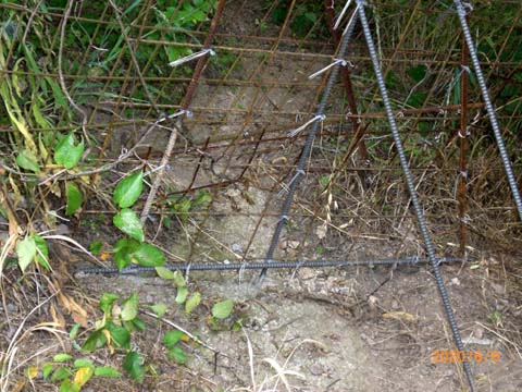 イノシシ防御柵

