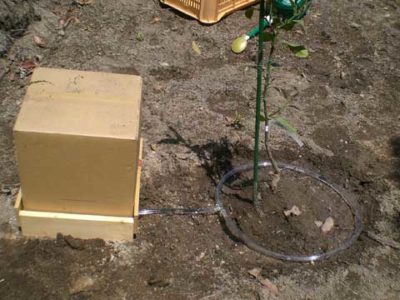 潅水タンクの設置状態