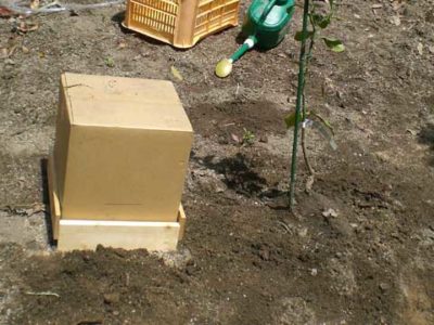 チューブに覆土