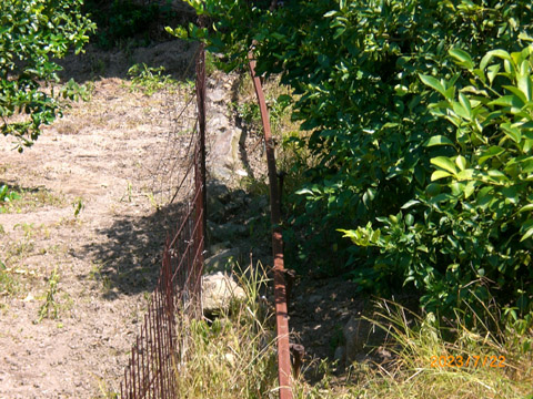 イノシシの被害